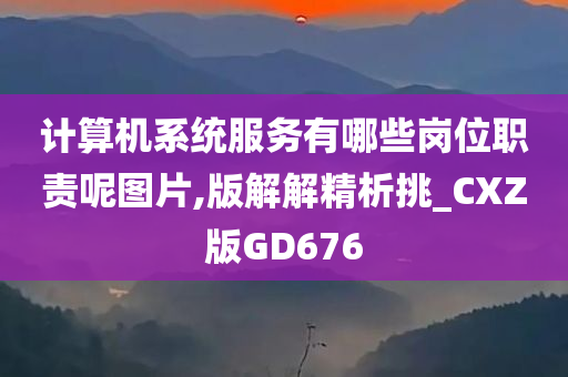 计算机系统服务有哪些岗位职责呢图片,版解解精析挑_CXZ版GD676