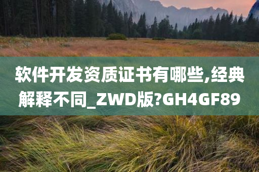 软件开发资质证书有哪些,经典解释不同_ZWD版?GH4GF89