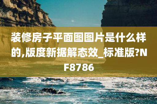 装修房子平面图图片是什么样的,版度新据解态效_标准版?NF8786