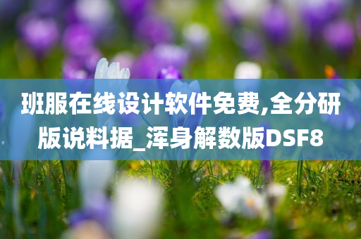 班服在线设计软件免费,全分研版说料据_浑身解数版DSF8