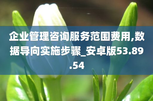 企业管理咨询服务范围费用,数据导向实施步骤_安卓版53.89.54