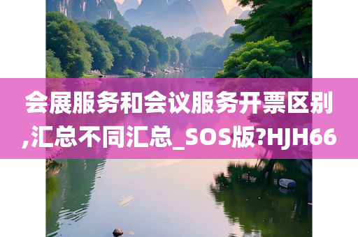 会展服务和会议服务开票区别,汇总不同汇总_SOS版?HJH66