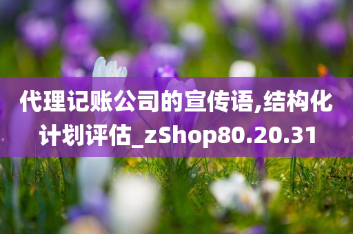 代理记账公司的宣传语,结构化计划评估_zShop80.20.31