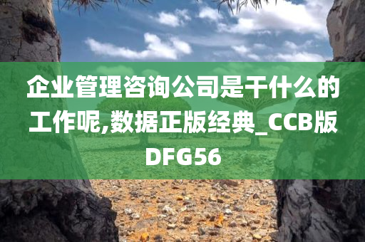 企业管理咨询公司是干什么的工作呢,数据正版经典_CCB版DFG56