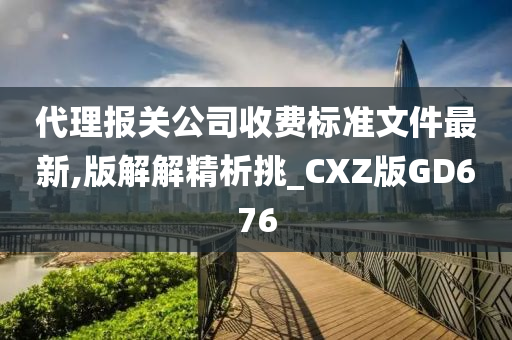 代理报关公司收费标准文件最新,版解解精析挑_CXZ版GD676