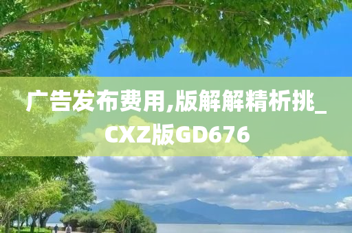 广告发布费用,版解解精析挑_CXZ版GD676