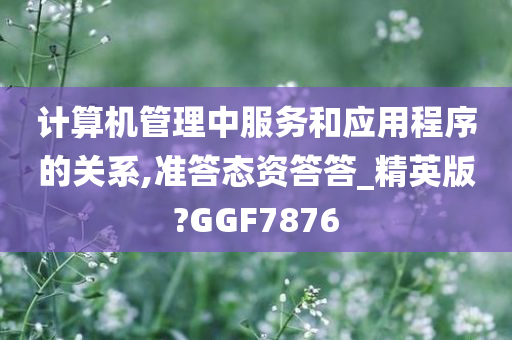 计算机管理中服务和应用程序的关系,准答态资答答_精英版?GGF7876