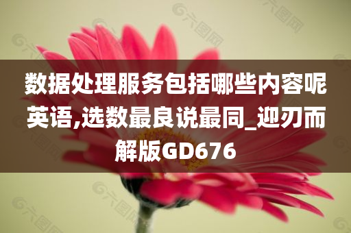 数据处理服务包括哪些内容呢英语,选数最良说最同_迎刃而解版GD676