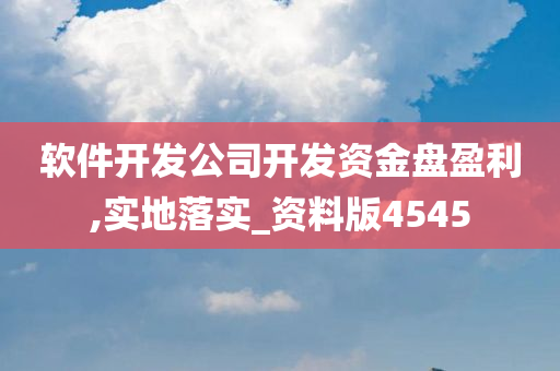 软件开发公司开发资金盘盈利,实地落实_资料版4545