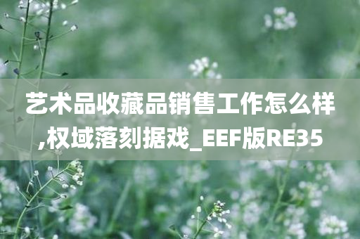 艺术品收藏品销售工作怎么样,权域落刻据戏_EEF版RE35