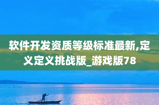 软件开发资质等级标准最新,定义定义挑战版_游戏版78