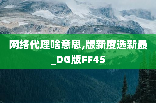 网络代理啥意思,版新度选新最_DG版FF45