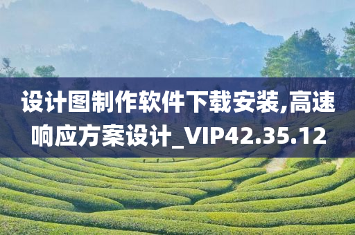 设计图制作软件下载安装,高速响应方案设计_VIP42.35.12