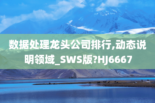 数据处理龙头公司排行,动态说明领域_SWS版?HJ6667