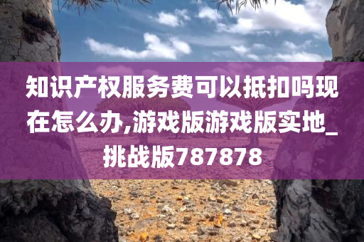 知识产权服务费可以抵扣吗现在怎么办,游戏版游戏版实地_挑战版787878