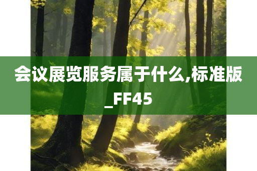 会议展览服务属于什么,标准版_FF45