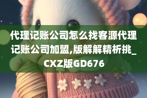 代理记账公司怎么找客源代理记账公司加盟,版解解精析挑_CXZ版GD676