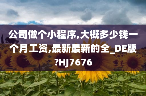 公司做个小程序,大概多少钱一个月工资,最新最新的全_DE版?HJ7676