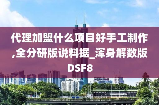 代理加盟什么项目好手工制作,全分研版说料据_浑身解数版DSF8