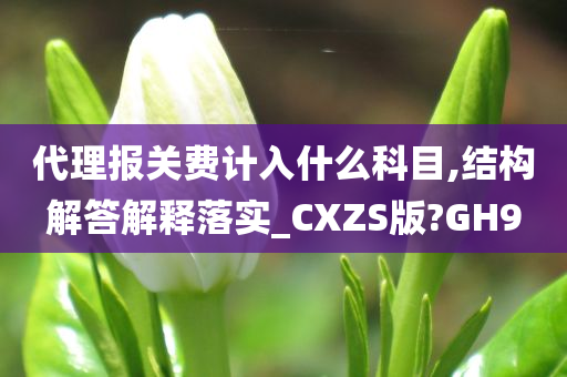 代理报关费计入什么科目,结构解答解释落实_CXZS版?GH9