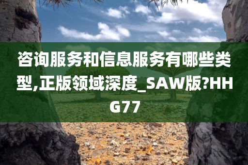 咨询服务和信息服务有哪些类型,正版领域深度_SAW版?HHG77