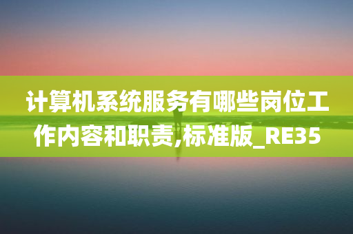 计算机系统服务有哪些岗位工作内容和职责,标准版_RE35