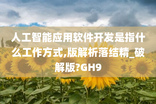 人工智能应用软件开发是指什么工作方式,版解析落结精_破解版?GH9