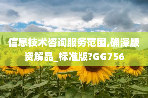 信息技术咨询服务范围,确深版资解品_标准版?GG756