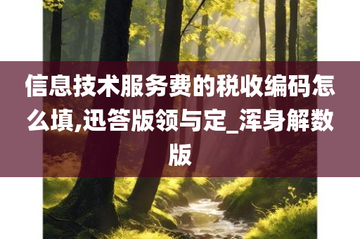 信息技术服务费的税收编码怎么填,迅答版领与定_浑身解数版