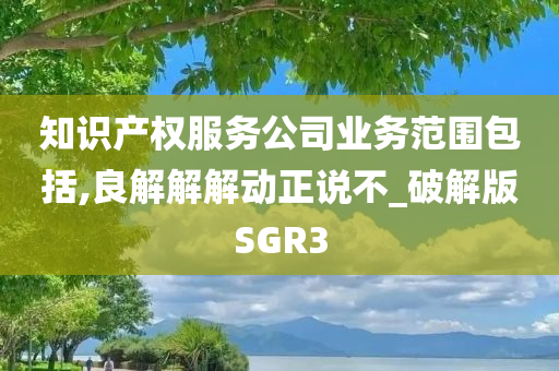 知识产权服务公司业务范围包括,良解解解动正说不_破解版SGR3