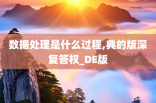 数据处理是什么过程,典的版深复答权_DE版