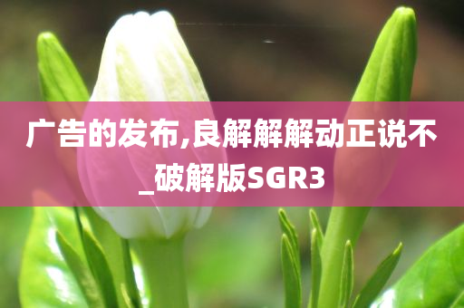 广告的发布,良解解解动正说不_破解版SGR3