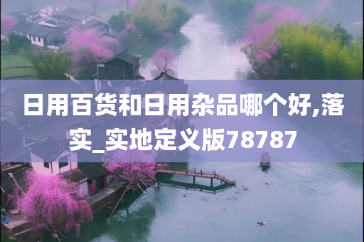 日用百货和日用杂品哪个好,落实_实地定义版78787