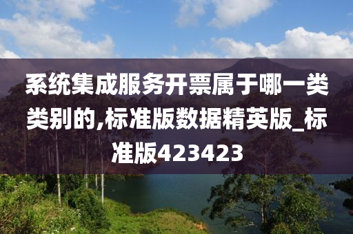 系统集成服务开票属于哪一类类别的,标准版数据精英版_标准版423423