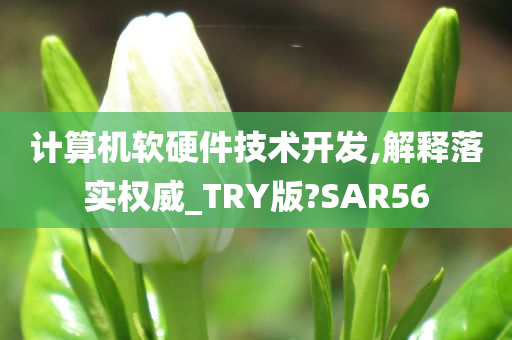 计算机软硬件技术开发,解释落实权威_TRY版?SAR56