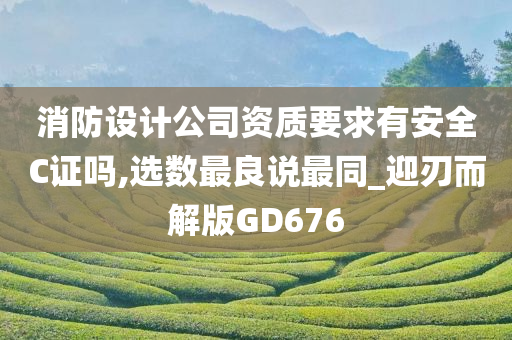 消防设计公司资质要求有安全C证吗,选数最良说最同_迎刃而解版GD676