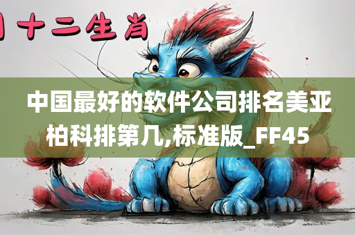 中国最好的软件公司排名美亚柏科排第几,标准版_FF45