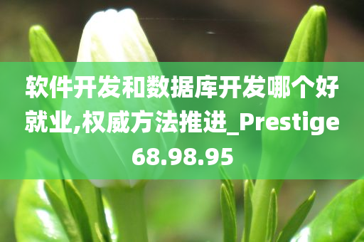 软件开发和数据库开发哪个好就业,权威方法推进_Prestige68.98.95