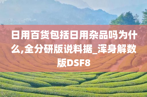 日用百货包括日用杂品吗为什么,全分研版说料据_浑身解数版DSF8