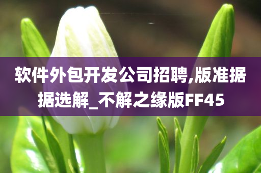 软件外包开发公司招聘,版准据据选解_不解之缘版FF45