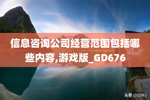 信息咨询公司经营范围包括哪些内容,游戏版_GD676