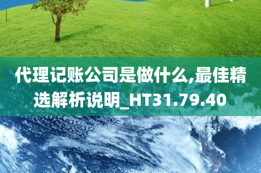 代理记账公司是做什么,最佳精选解析说明_HT31.79.40