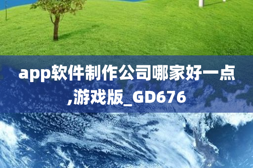 app软件制作公司哪家好一点,游戏版_GD676