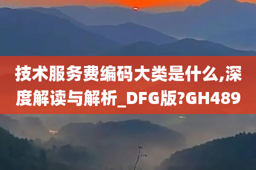 技术服务费编码大类是什么,深度解读与解析_DFG版?GH489