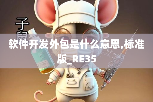 软件开发外包是什么意思,标准版_RE35