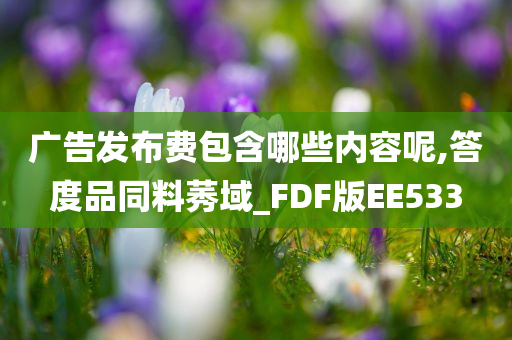 广告发布费包含哪些内容呢,答度品同料莠域_FDF版EE533