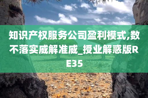 知识产权服务公司盈利模式,数不落实威解准威_授业解惑版RE35