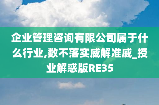 企业管理咨询有限公司属于什么行业,数不落实威解准威_授业解惑版RE35