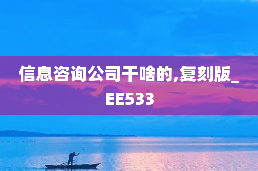 信息咨询公司干啥的,复刻版_EE533