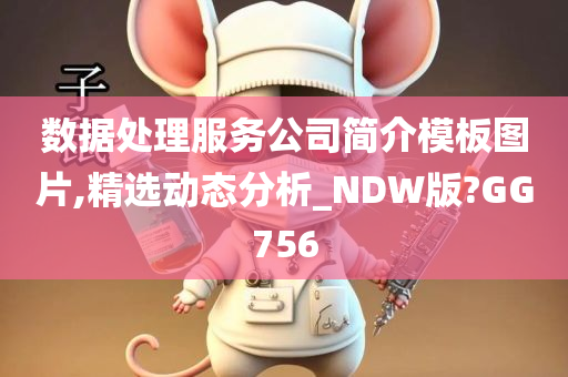 数据处理服务公司简介模板图片,精选动态分析_NDW版?GG756